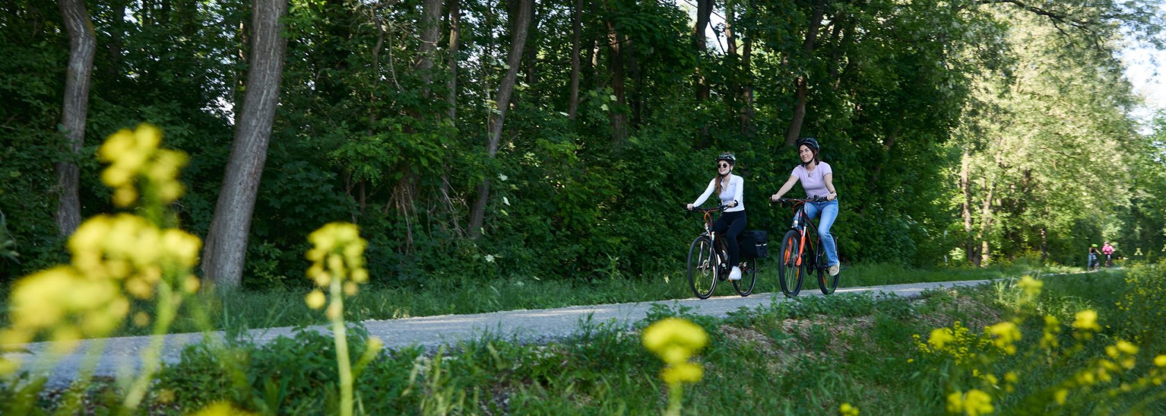 Cycling in St.Pölten, © Rupert Pessl