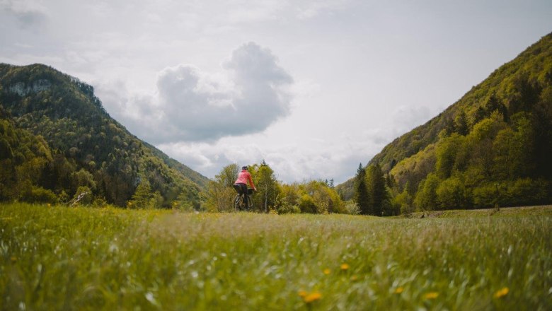 Entlang des Traisental-Radweges, © Franziska Consolati