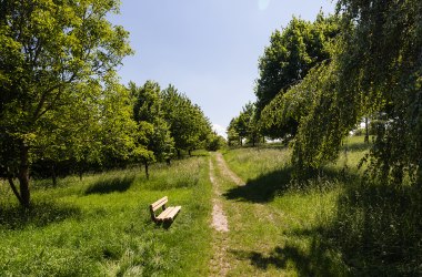 Marriage &amp; Birth Forest, © Werner Jäger