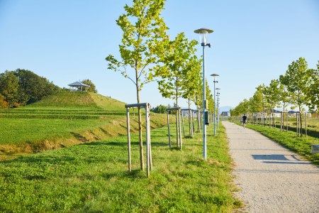 Natur in der Stadt, © Rupert Pessl