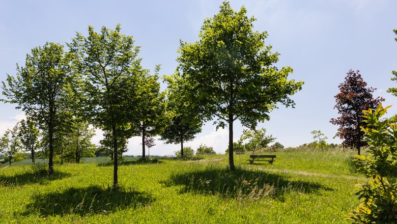 Marriage &amp; Birth Forest, © Werner Jäger