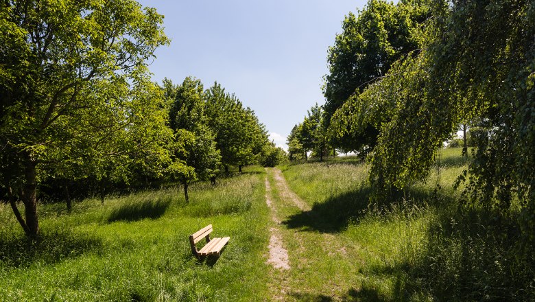 Marriage &amp; Birth Forest, © Werner Jäger