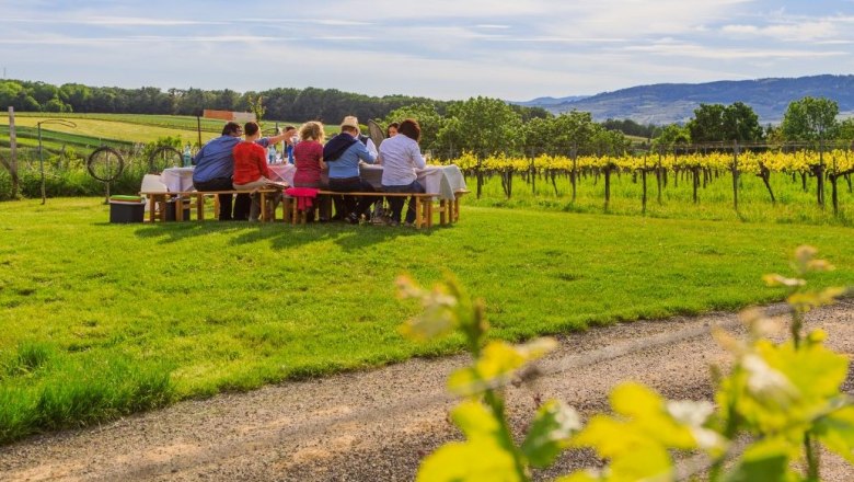 Wein.Sommer.Picknick, © Armann Kalteis