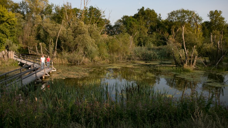 Rundgang in der Natur der Stadt, © Schwarz König 