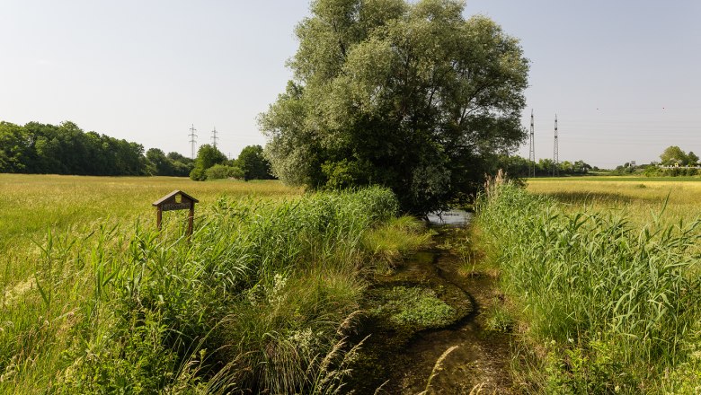 Natural monument Siebenbründl, © Werner Jäger